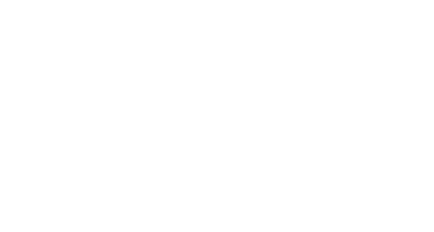 Bonnaroo Logo