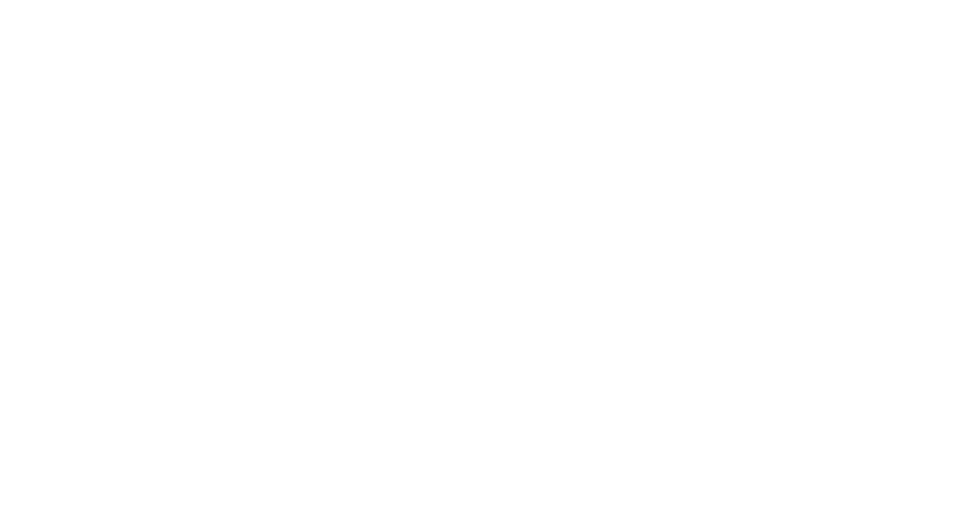 Gov Ball Logo