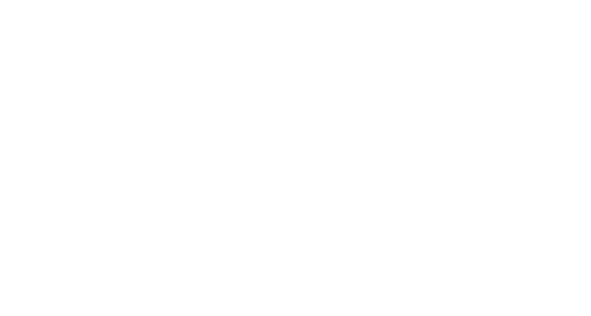 The Met Logo
