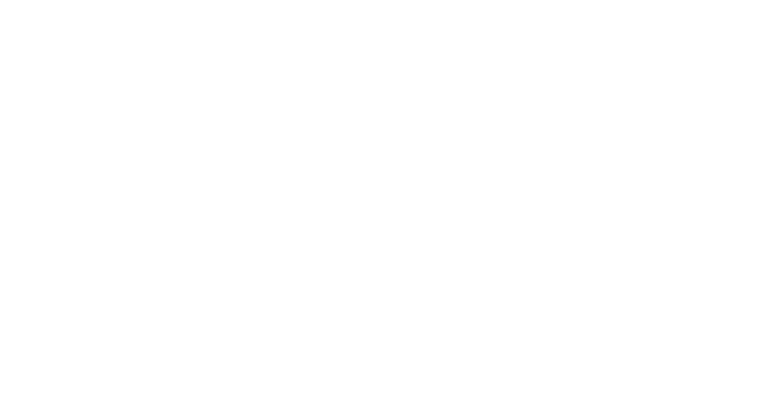 Valentino Logo