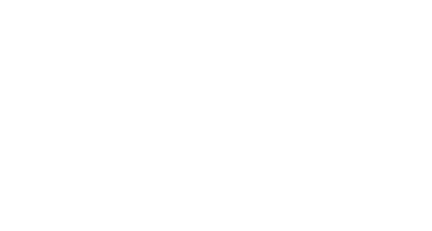 Zenith Logo